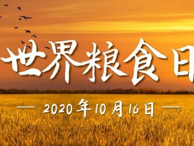 世界糧食日|光盤行動，睿寂行空壓機在行動......