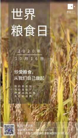 光盤行動，睿寂行空壓機(jī)在行動