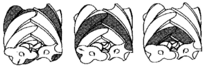 螺桿空壓機(jī)的壓縮過程